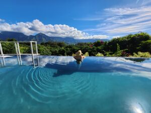 hawaii travel agents